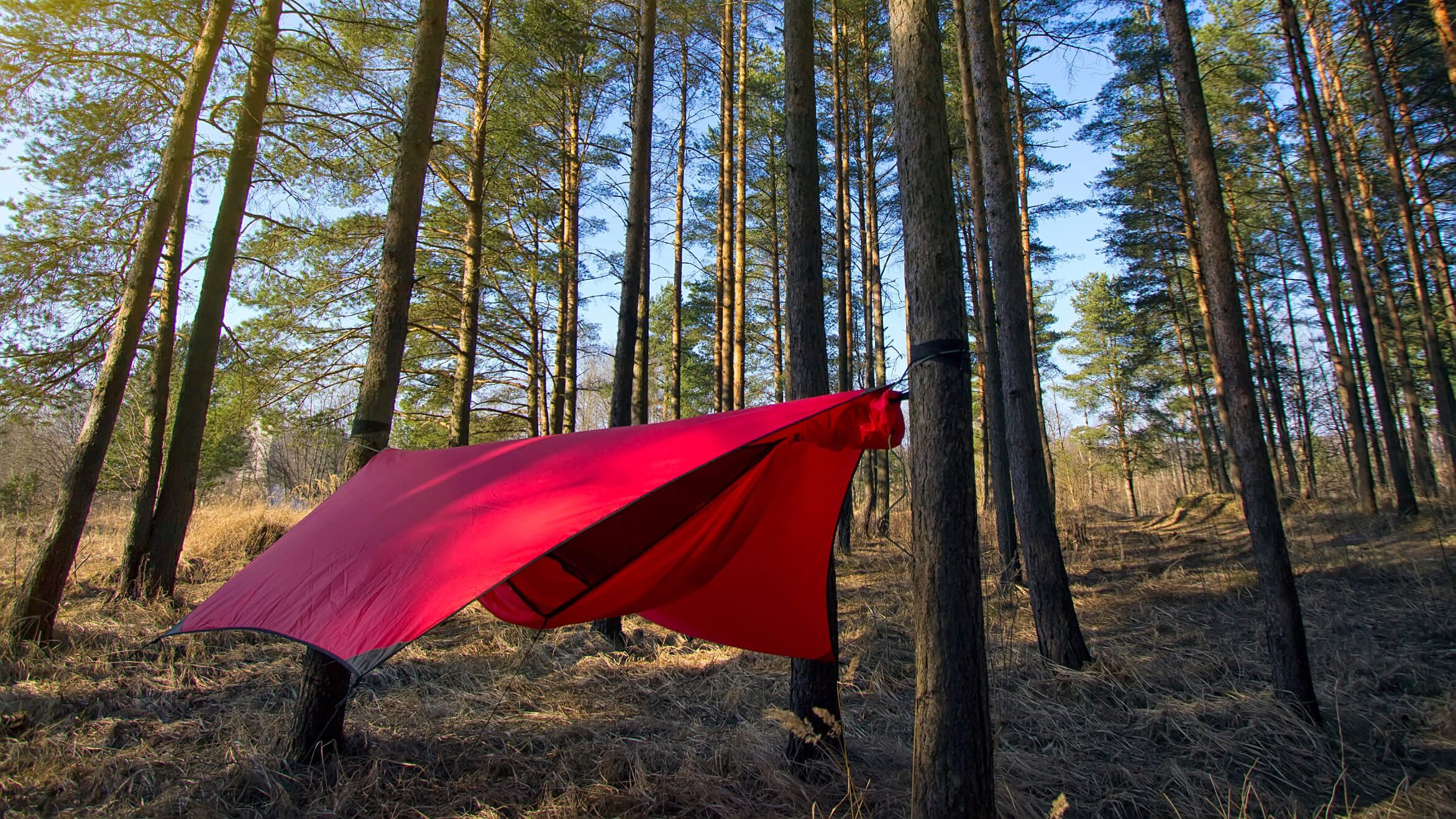 Backpacking Hammock Essentials Your Complete Guide